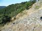 jašterica múrová (17.8.2013)